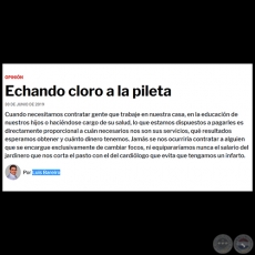 ECHANDO CLORO A LA PILETA - Por LUIS BAREIRO - Domingo, 30 de junio de 2019